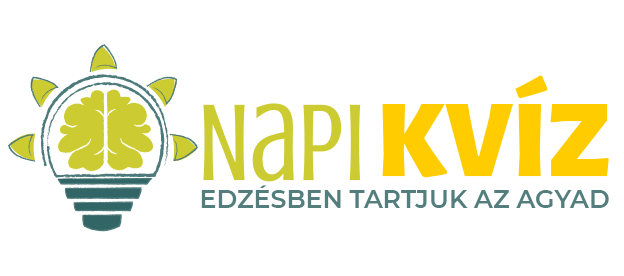 napikvizlogo