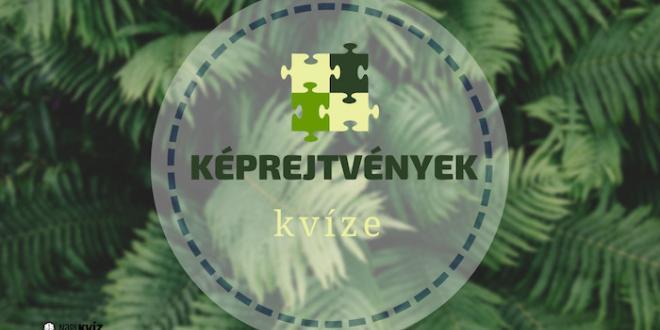 képes-logikai-fejtörő-kvíz