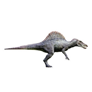 dinofelismerokviz7