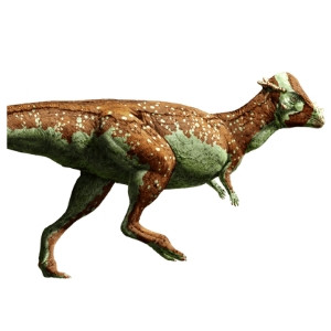 dinofelismerokviz8