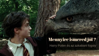 harry potter kvíz melyik karakter lennél 4