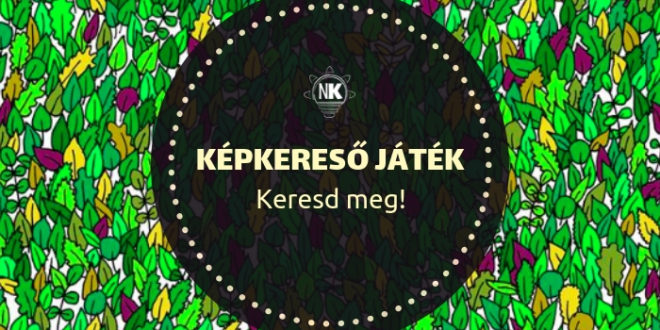 képkereső keresd meg