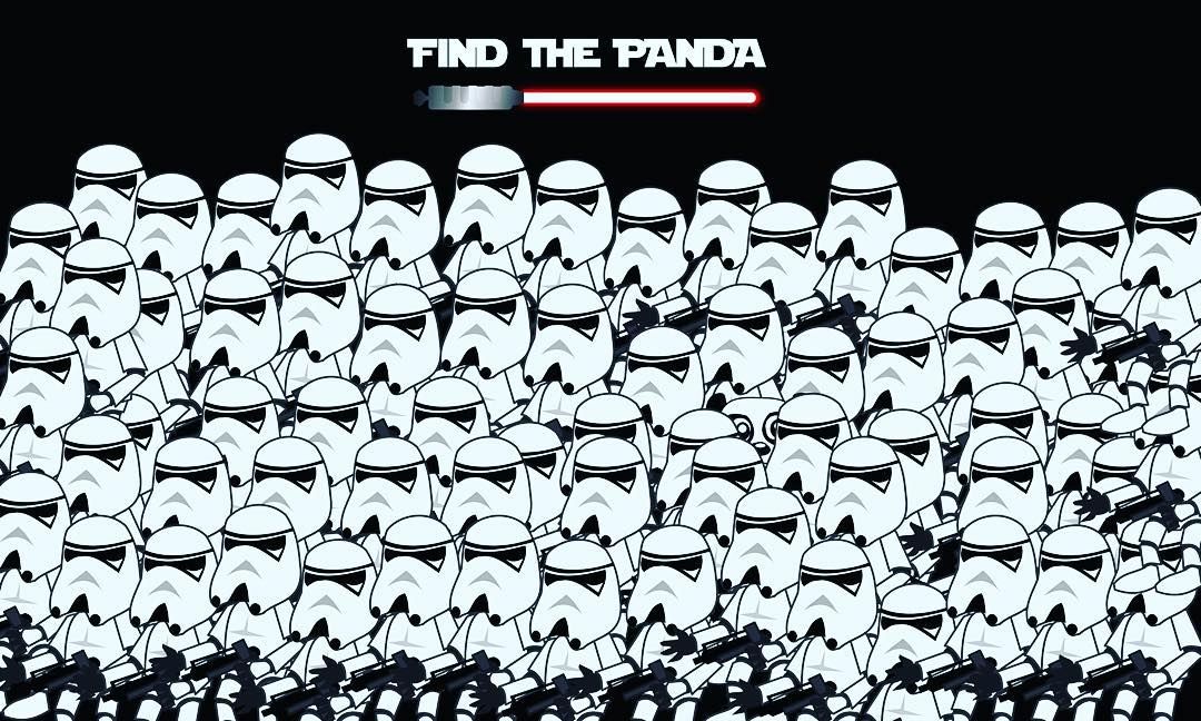 star wars hol a panda 1