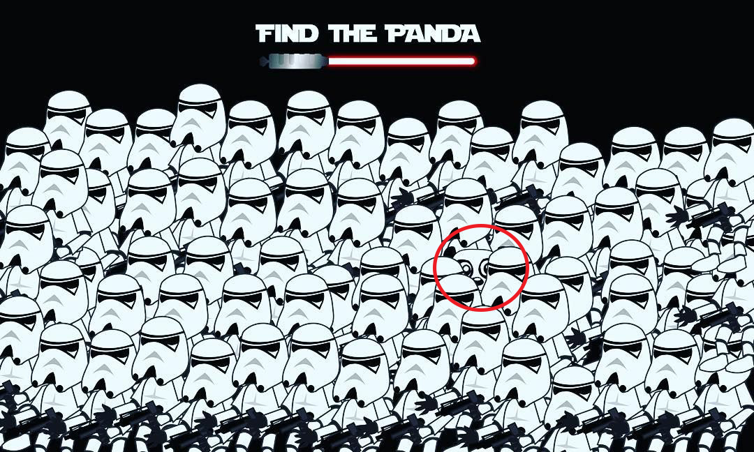 star wars hol a panda 2