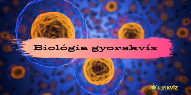 16altalanos_biologia_borito
