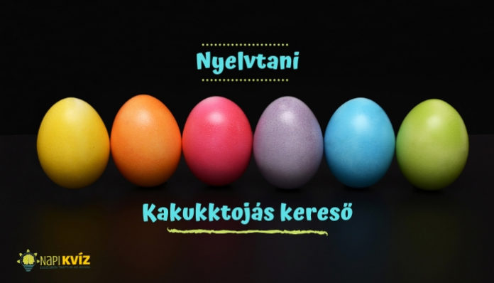 Helyesírási kakukktojás kereső